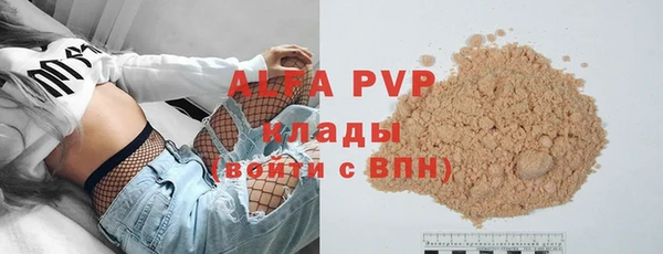 ПСИЛОЦИБИНОВЫЕ ГРИБЫ Горняк