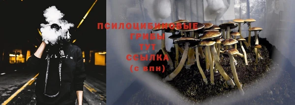 прущие крисы Горно-Алтайск