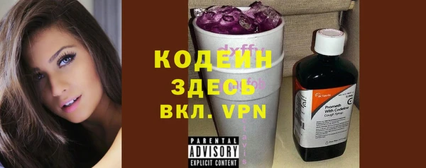 ПСИЛОЦИБИНОВЫЕ ГРИБЫ Горняк