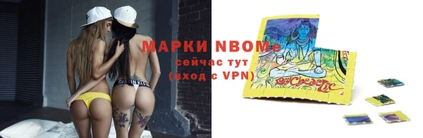 ПСИЛОЦИБИНОВЫЕ ГРИБЫ Горняк