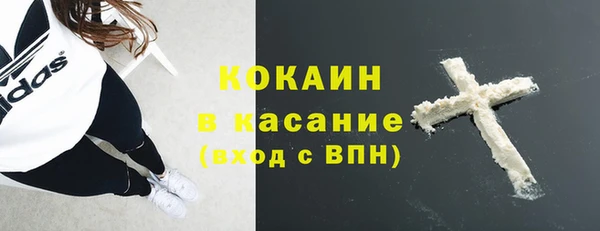 ПСИЛОЦИБИНОВЫЕ ГРИБЫ Горняк