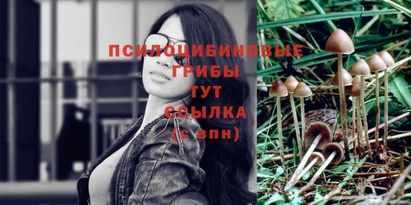 ПСИЛОЦИБИНОВЫЕ ГРИБЫ Горняк