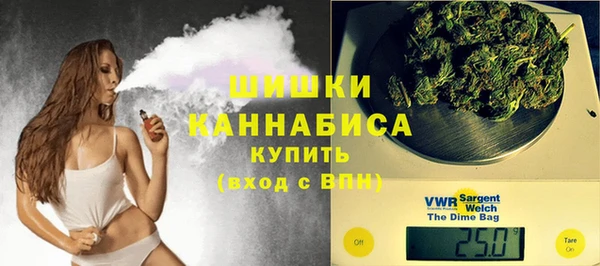 ПСИЛОЦИБИНОВЫЕ ГРИБЫ Горняк