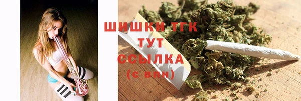 ПСИЛОЦИБИНОВЫЕ ГРИБЫ Горняк
