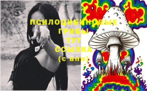 спайс Горнозаводск
