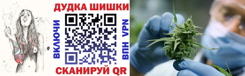 Канабис ГИДРОПОН  Купить где  Керчь 